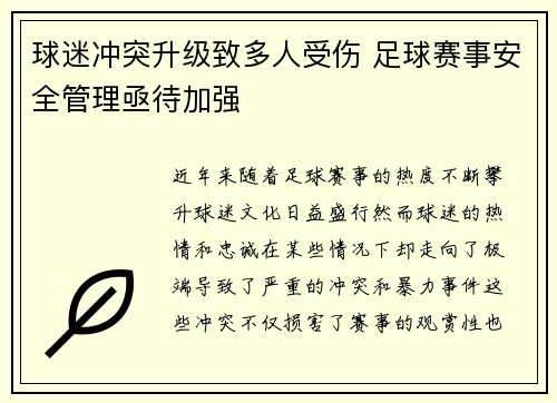 球迷冲突升级致多人受伤 足球赛事安全管理亟待加强