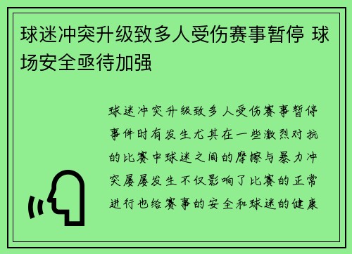 球迷冲突升级致多人受伤赛事暂停 球场安全亟待加强