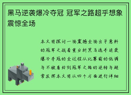 黑马逆袭爆冷夺冠 冠军之路超乎想象震惊全场